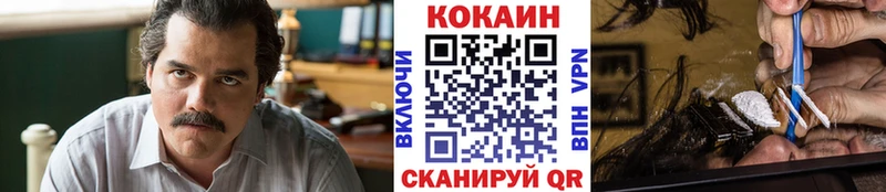 Купить закладки  Дубовка  Кокаин FishScale 