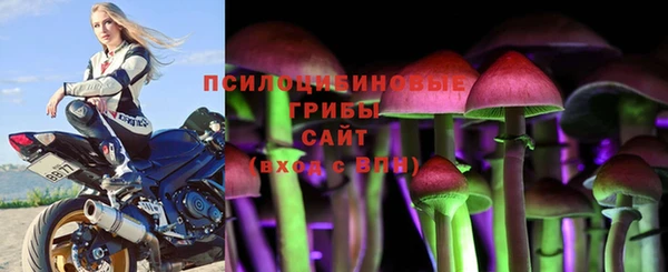 каннабис Карпинск