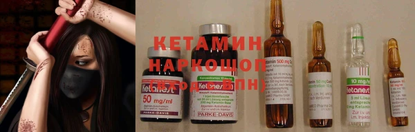 амф Касимов