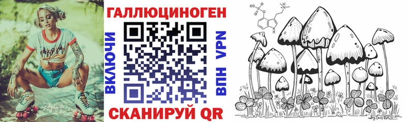 Купить  Дубовка  Галлюциногенные грибы Psilocybine cubensis 